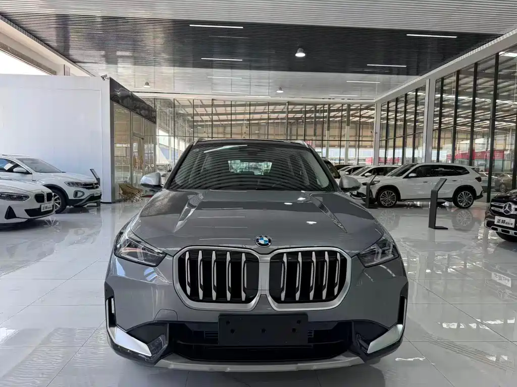 BMW X1 — миниатюра 2