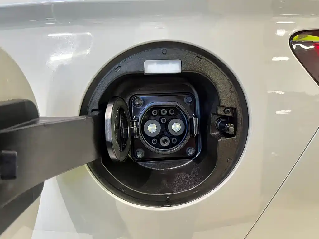 BYD SONGJIANG NEW ENERGY