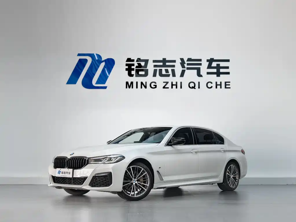 BMW 5 Series 530Li Leading Type M Sport Package, фото 2