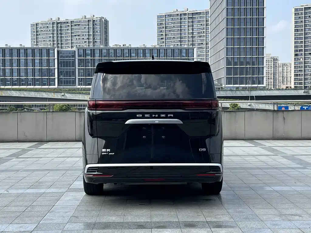 Denza Denza D9 — миниатюра 16