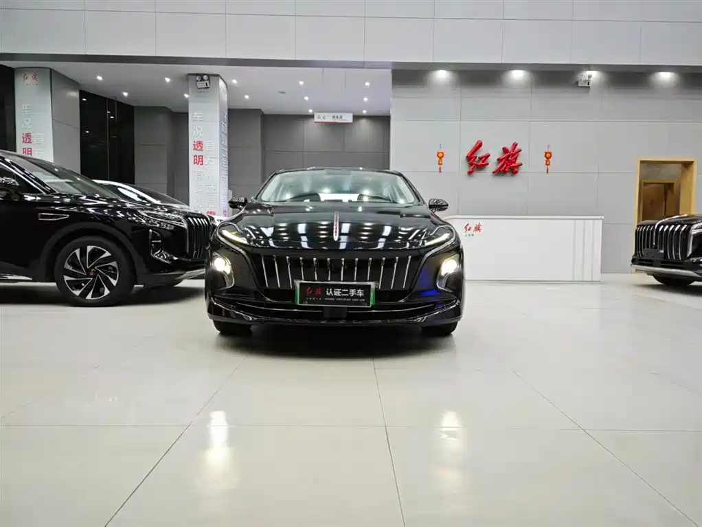Hongqi HONGQI E QM5