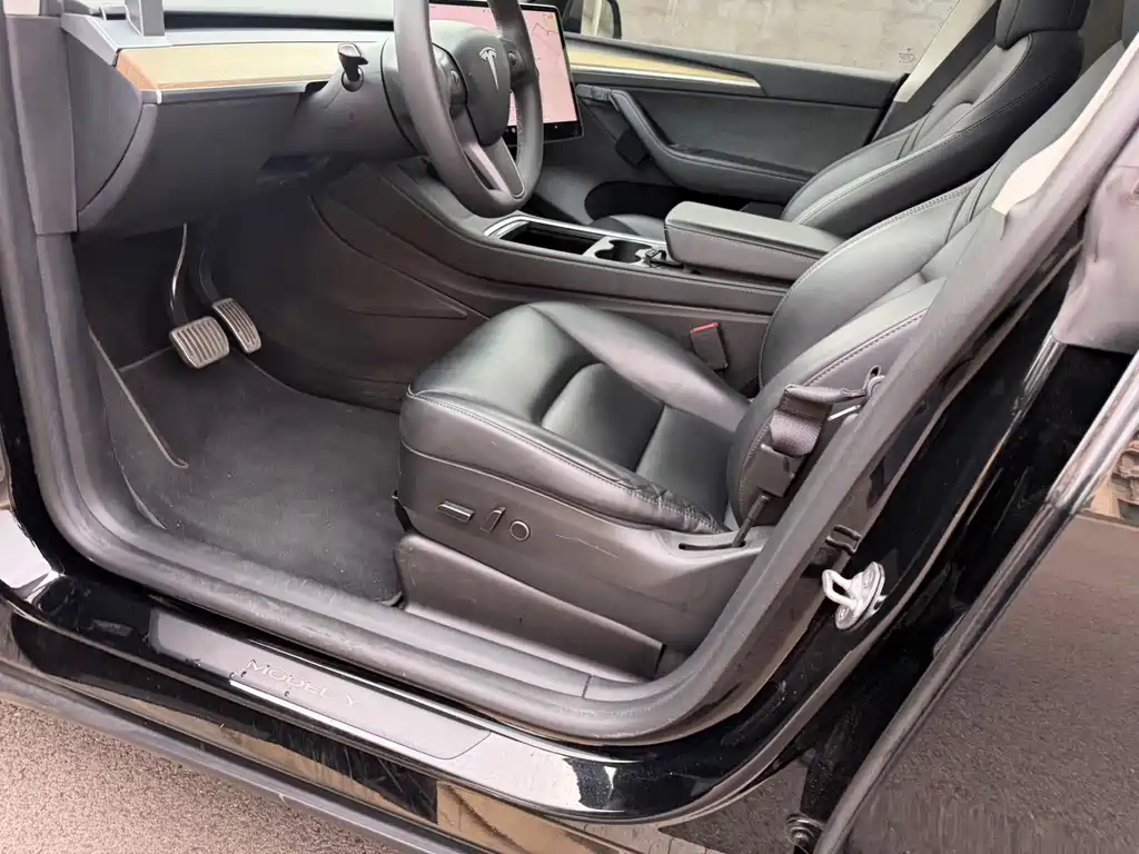 Tesla Model Y — миниатюра 5
