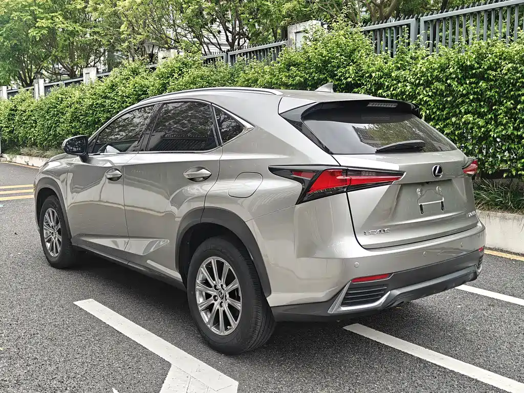 Lexus NX 200 AWD Sharp Fashion Edition China V, фото 4