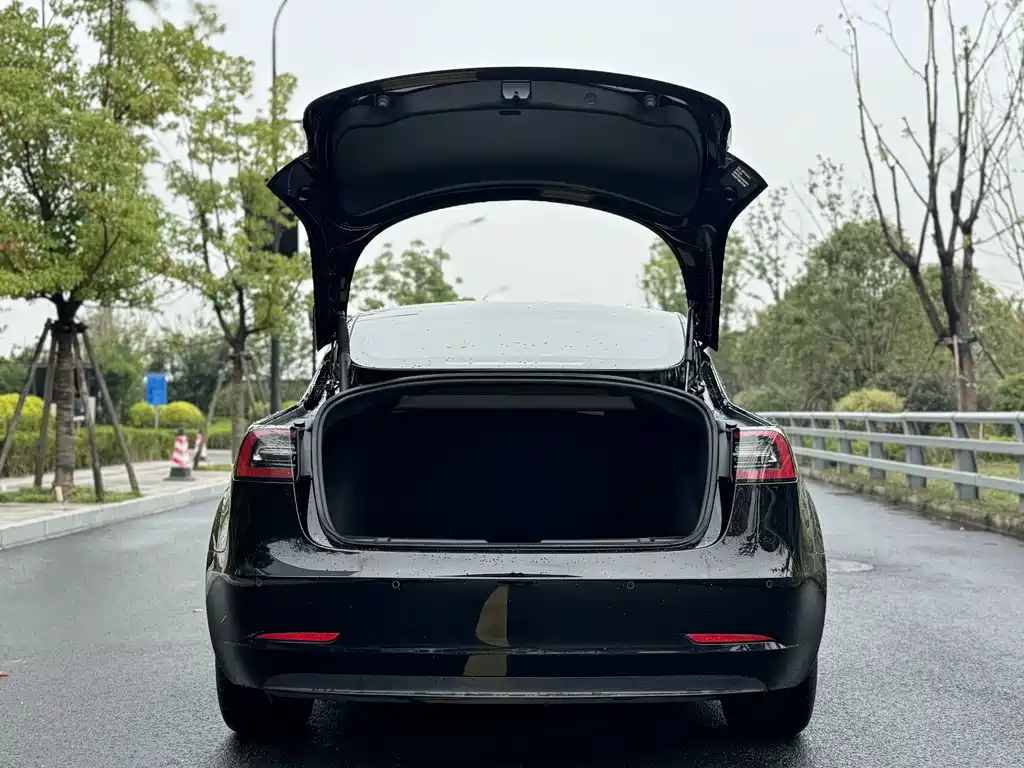 Tesla Model 3 — миниатюра 8