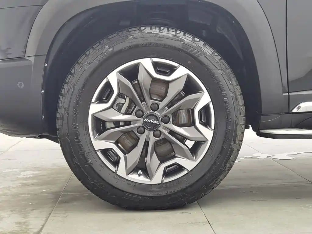 Haval Big Dog — миниатюра 17