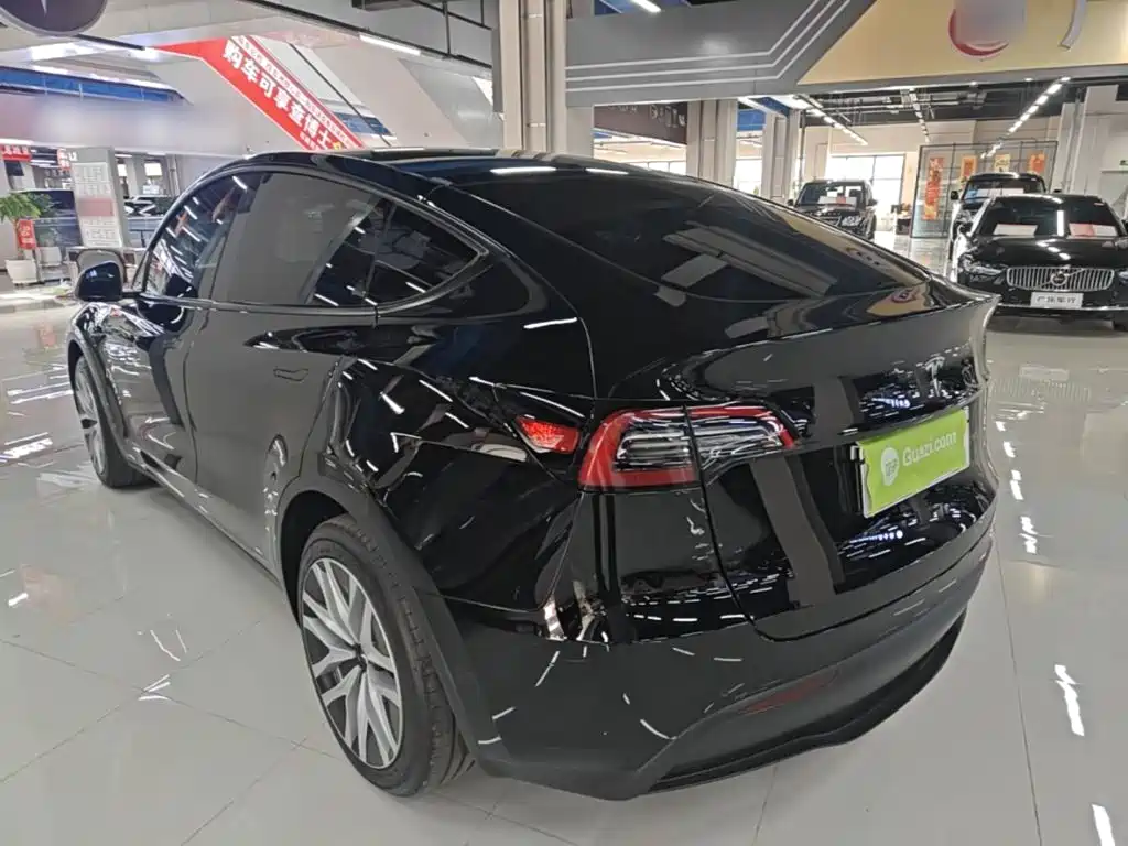 Tesla Model Y — миниатюра 5