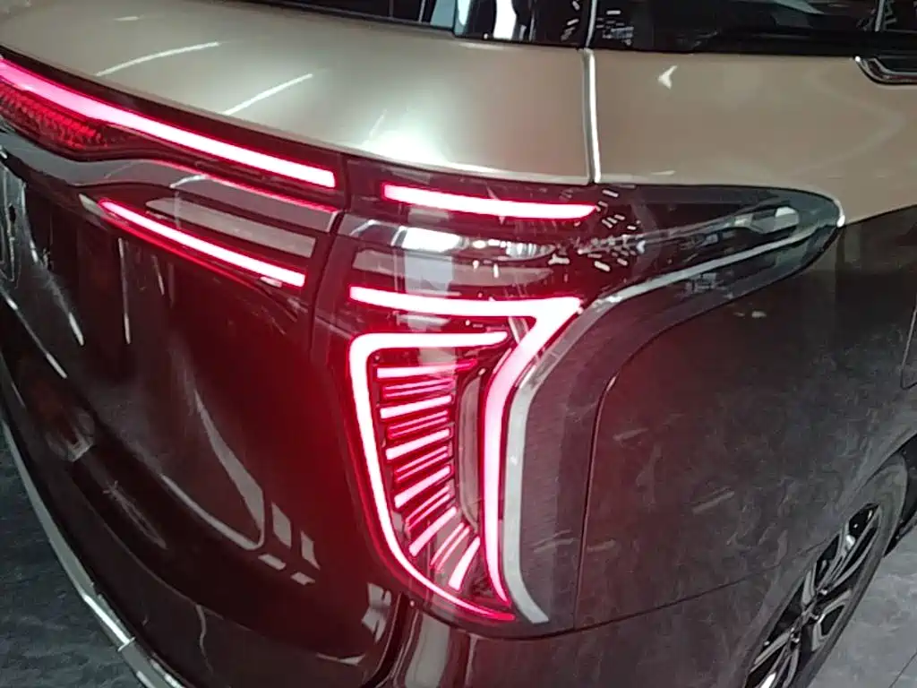 Hongqi Hongqi HQ9 — миниатюра 8