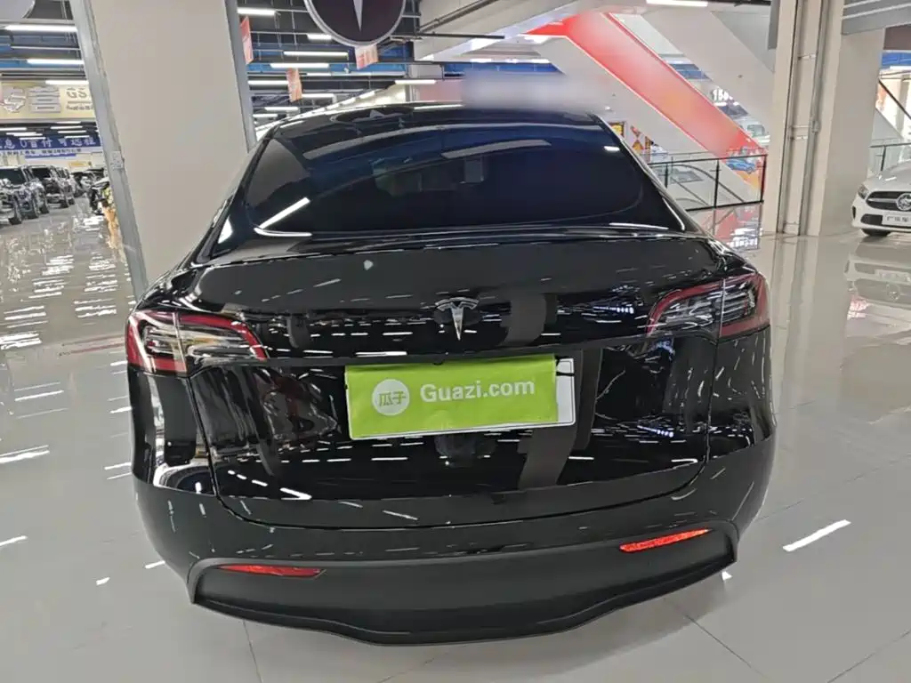 Tesla Model Y — миниатюра 6