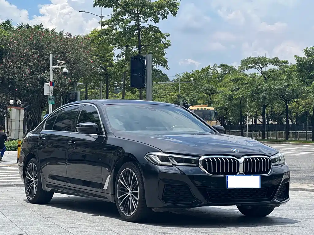 BMW 5 Series — миниатюра 3