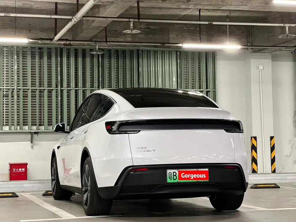 Tesla Model Y — миниатюра 58