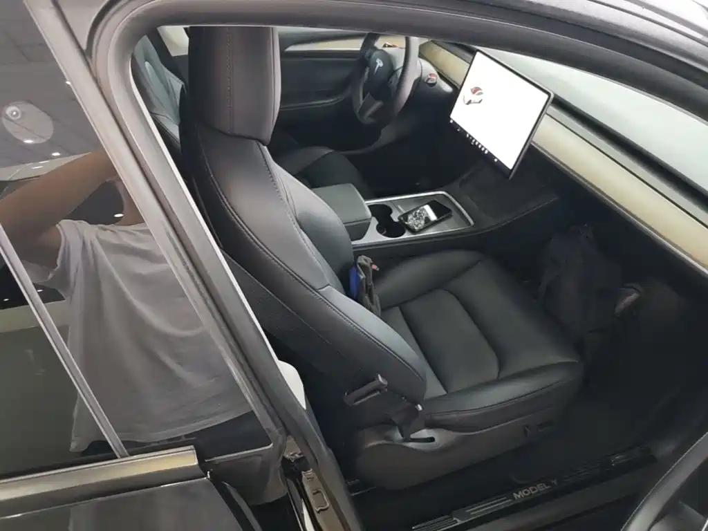 Tesla Model Y — миниатюра 25