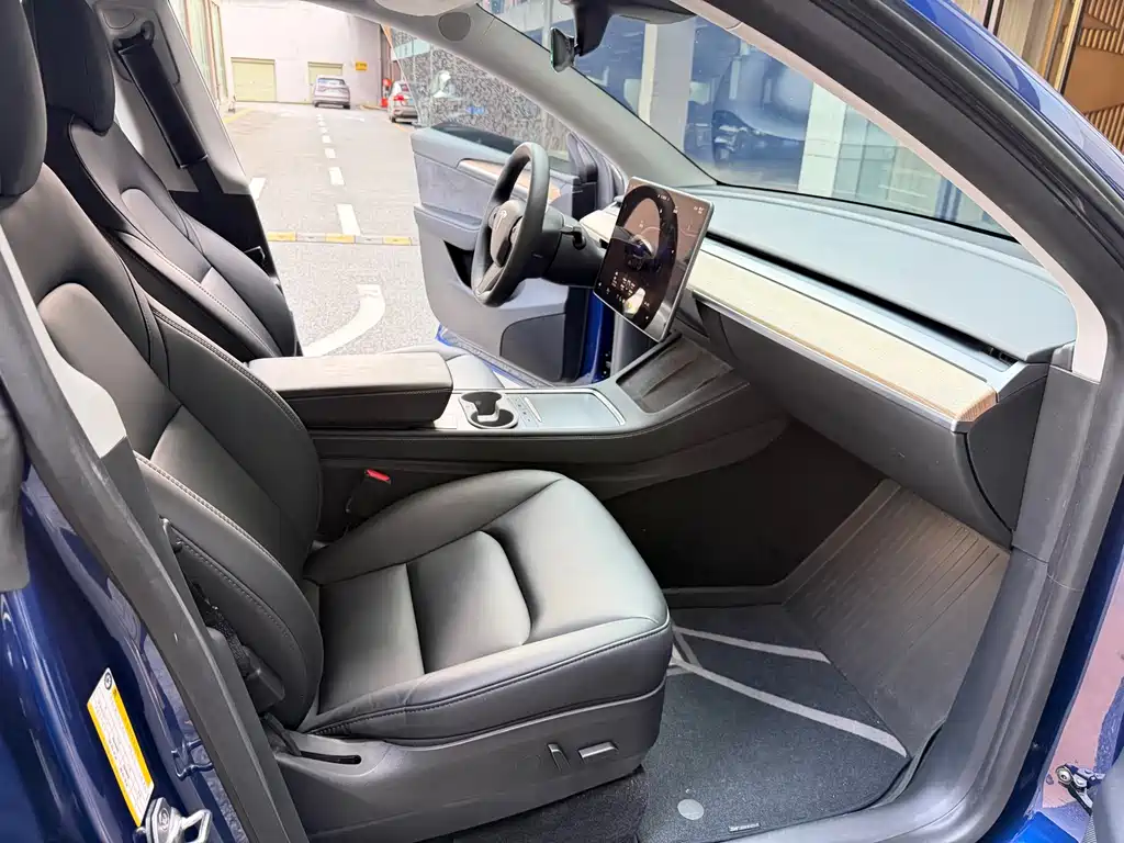 Tesla Model Y — миниатюра 8