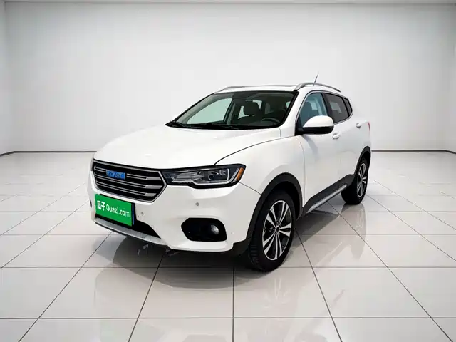 2016 Haval H2