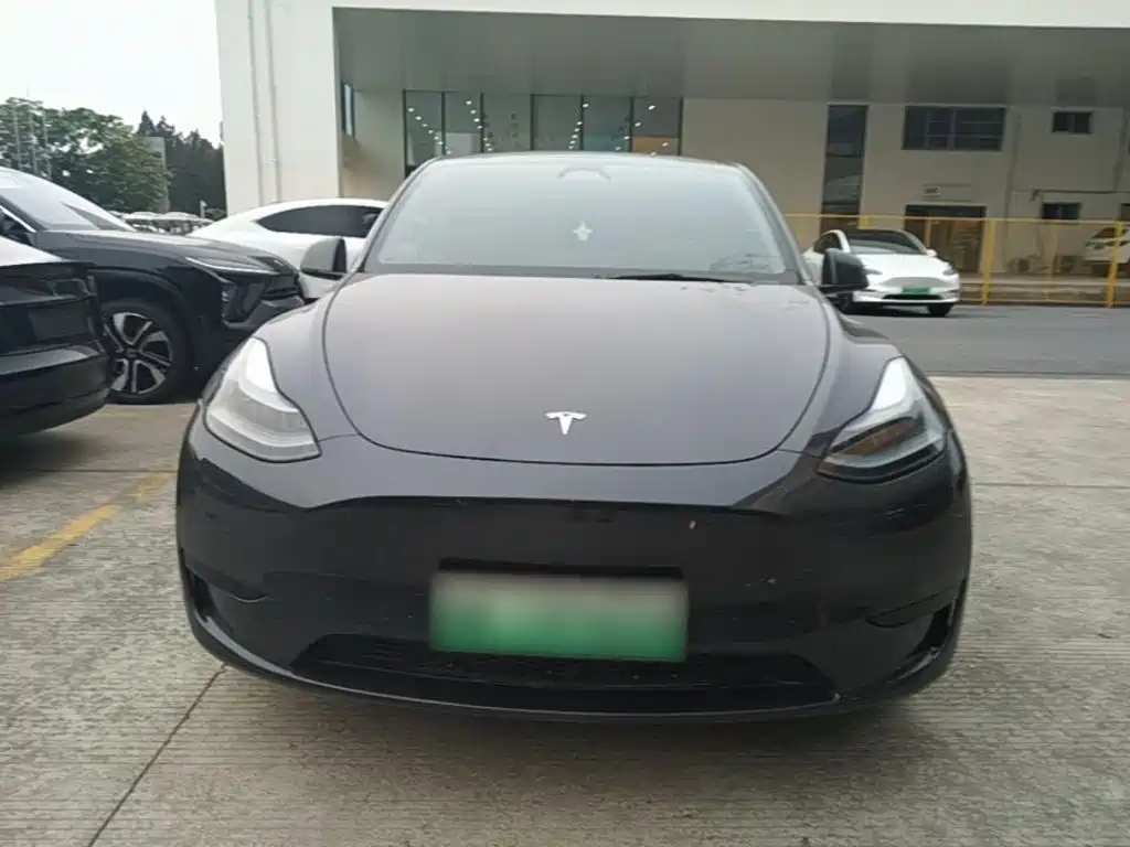 Tesla Model Y — миниатюра 3