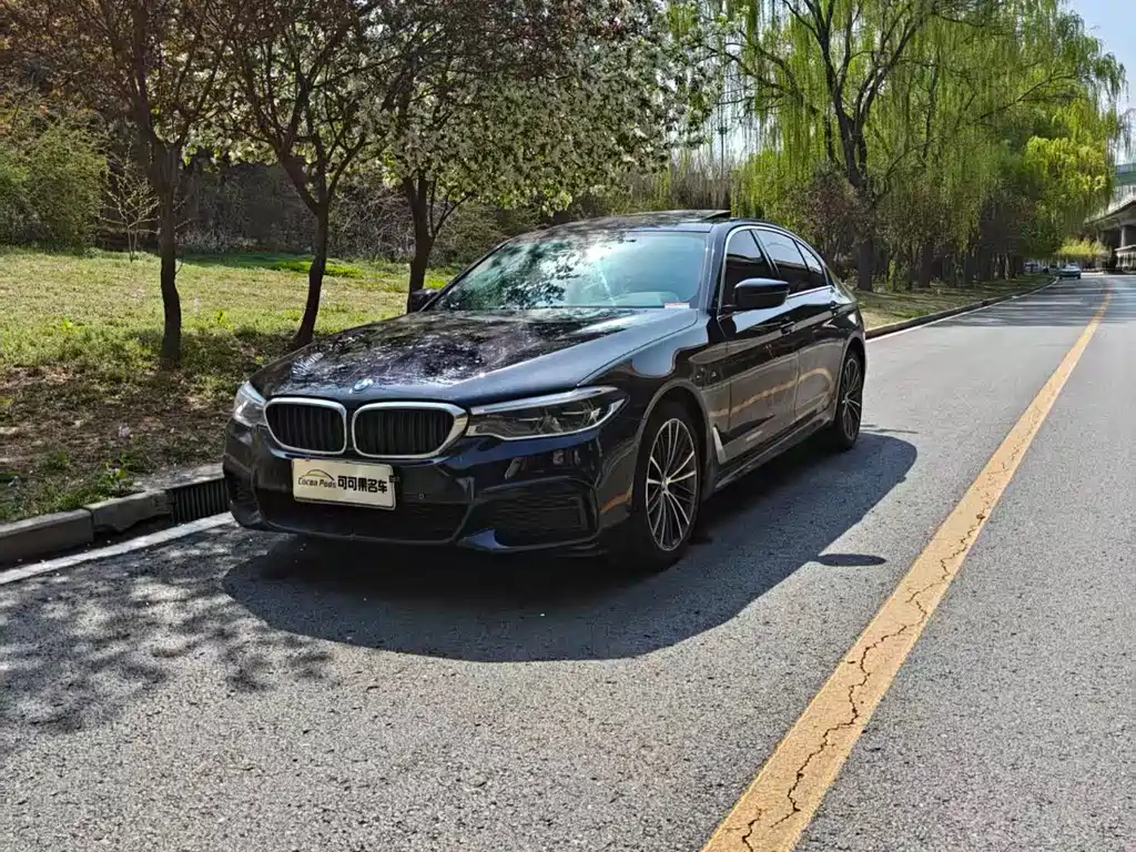 BMW 5 Series 2019