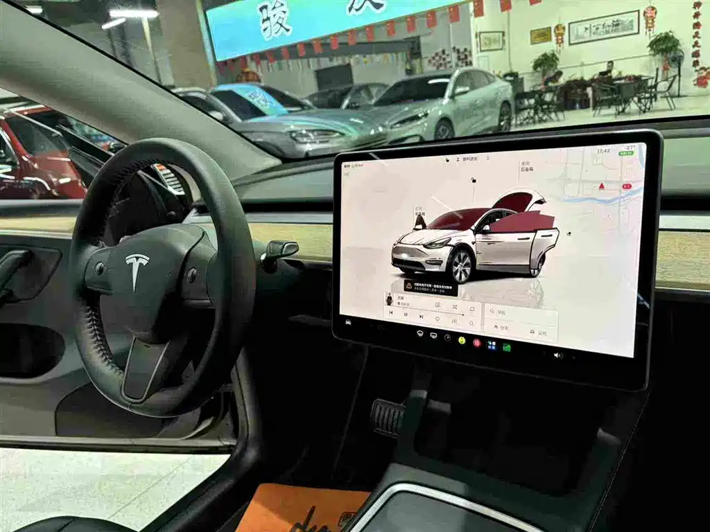 Tesla Model Y — миниатюра 23