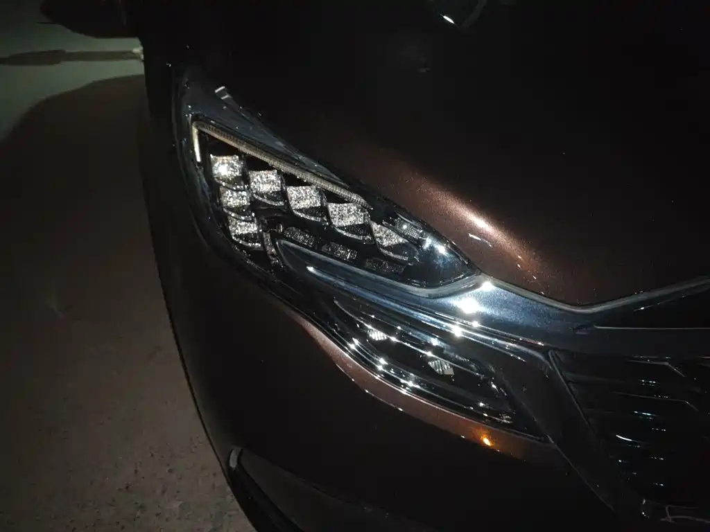 Buick GL8 — миниатюра 7