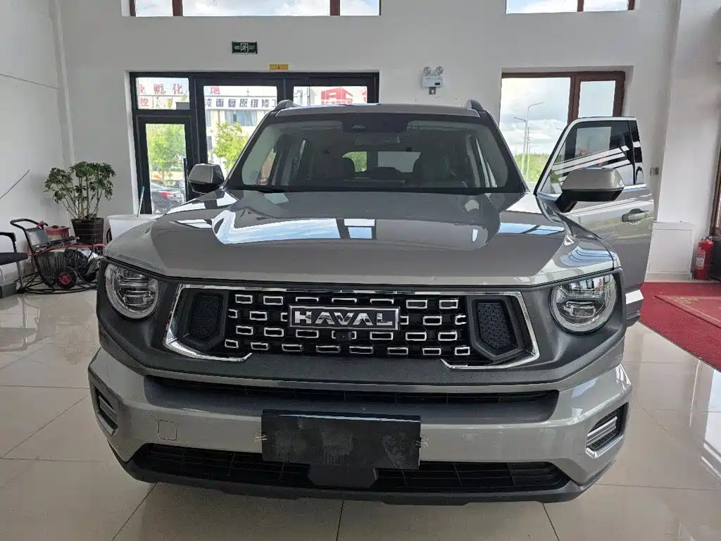 Haval Big Dog PLUS — миниатюра 2