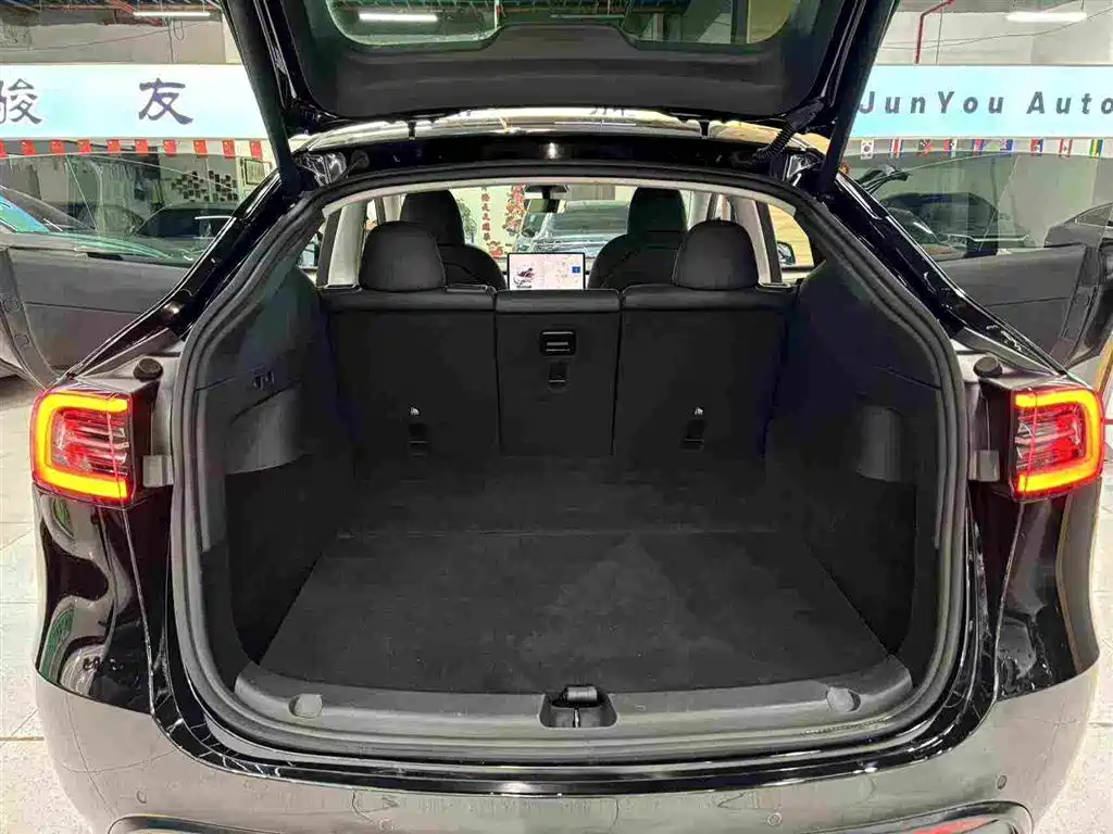 Tesla Model Y — миниатюра 19
