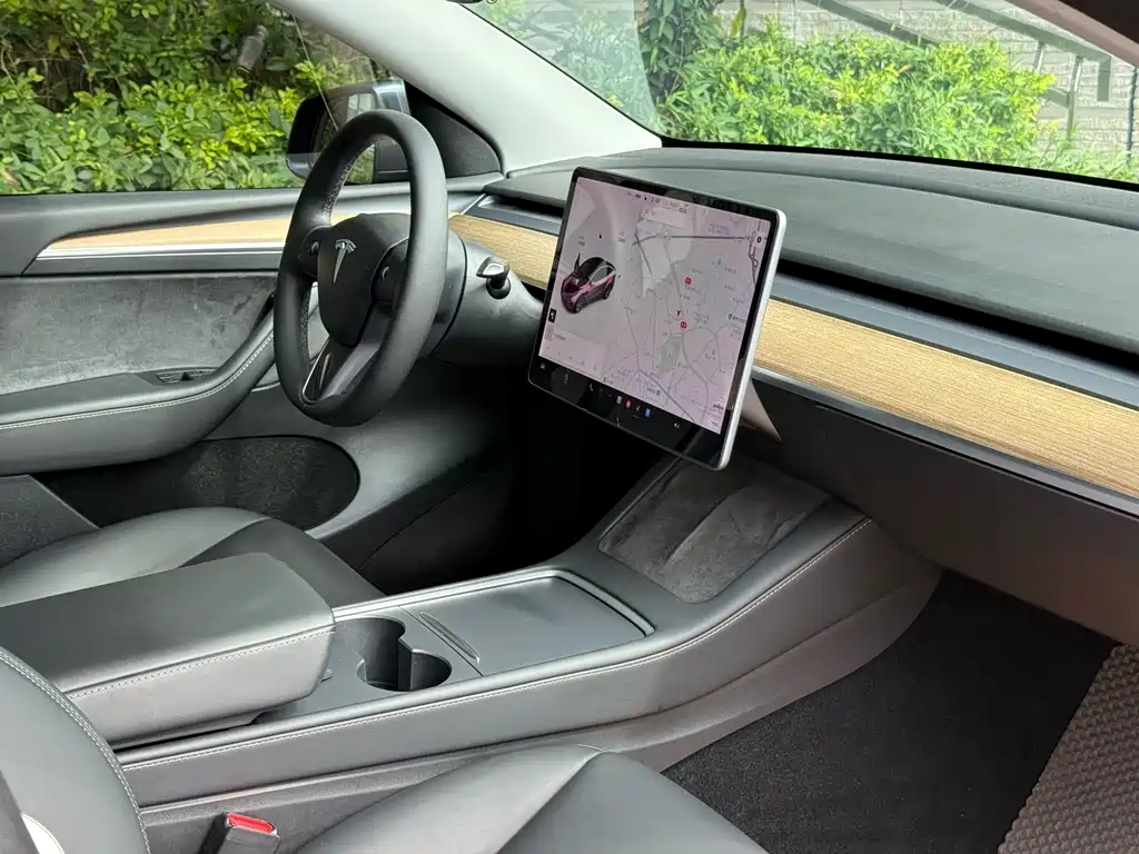 Tesla Model Y — миниатюра 21