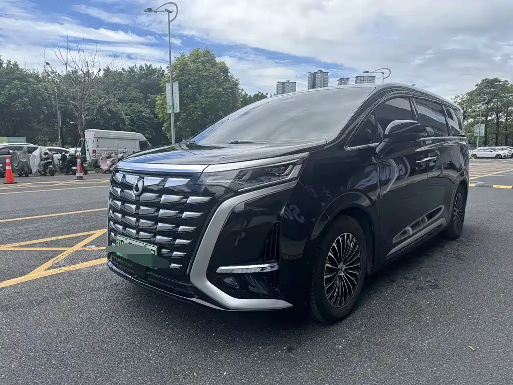 Denza D9