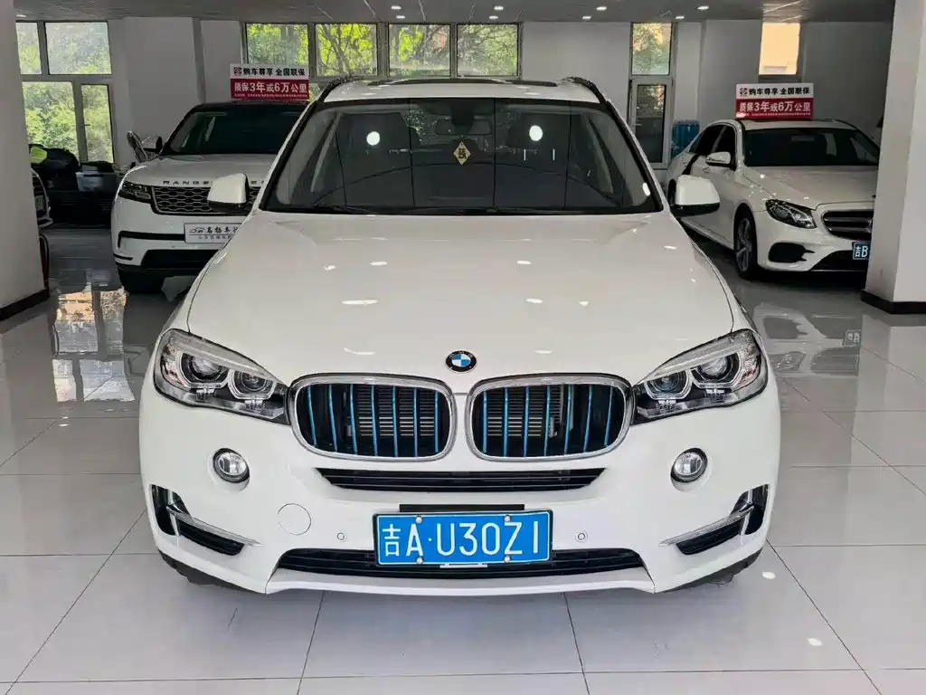BMW X5 New Energy (Import) — миниатюра 2