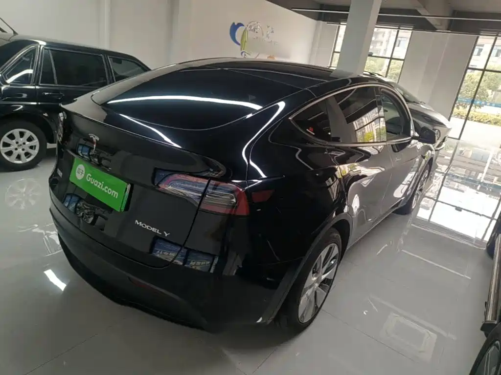 Tesla Model Y — миниатюра 7