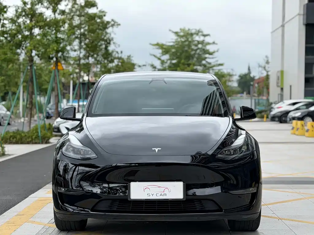 Tesla Model Y — миниатюра 2