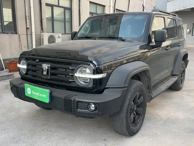 2024 TANK 300