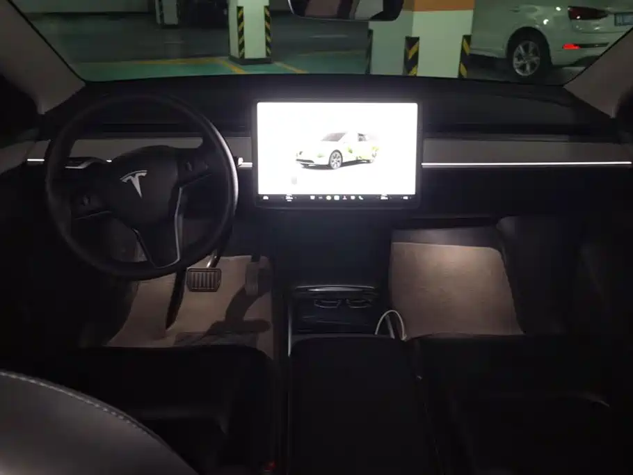 Tesla Model Y — миниатюра 12