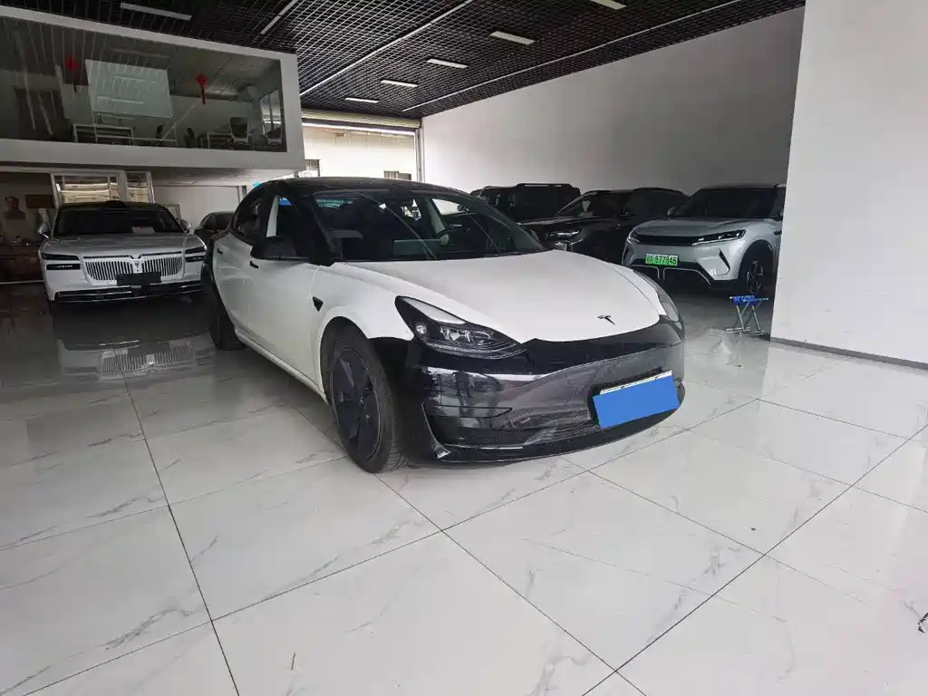 Tesla Model 3 — миниатюра 3