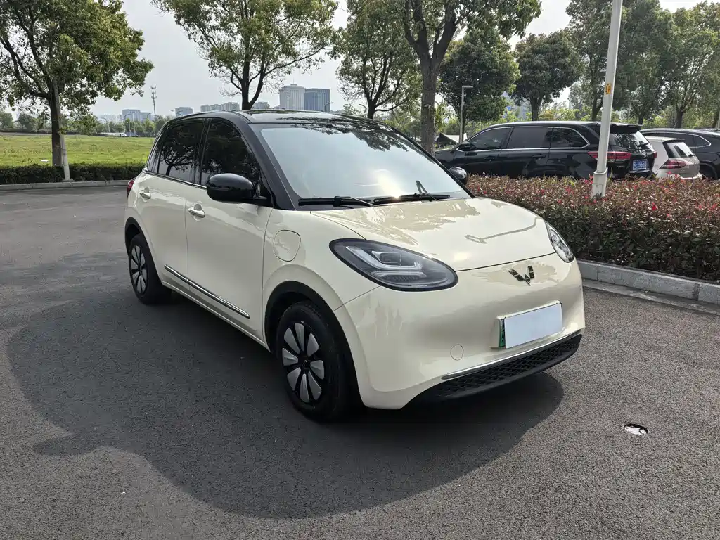 Wuling Binguo 2025 333km Enjoy