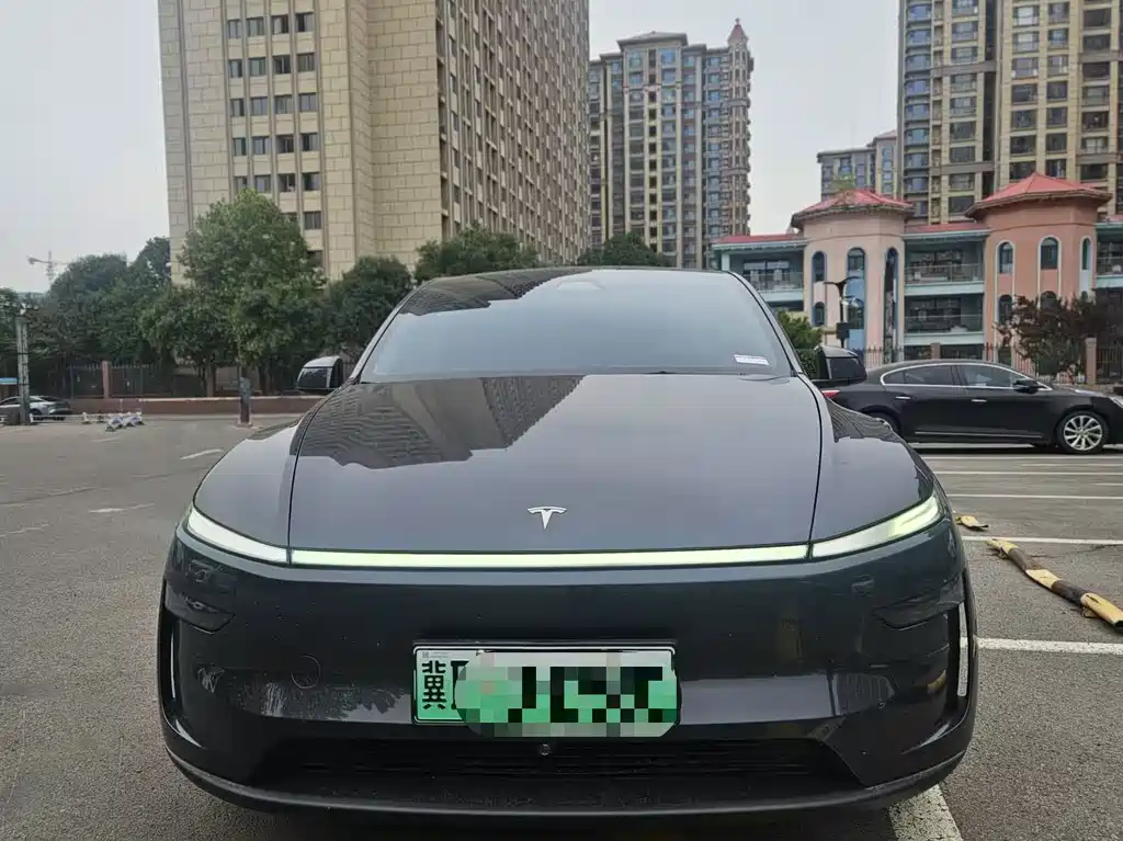 Tesla Model Y — миниатюра 2