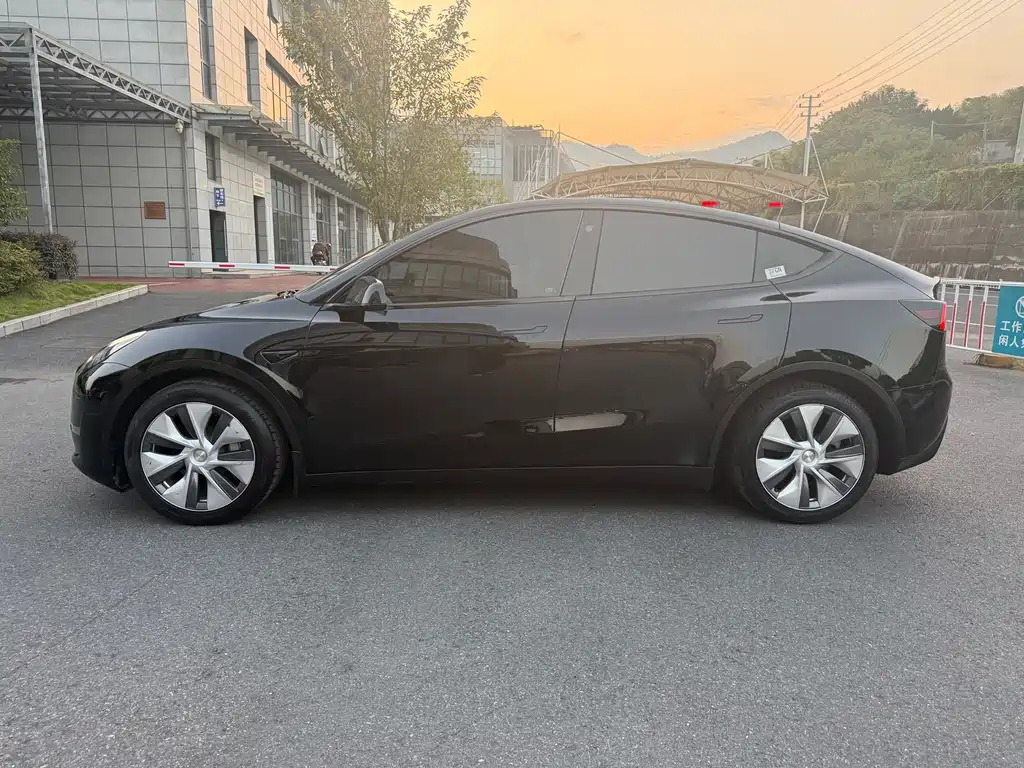 Tesla Model Y — миниатюра 16
