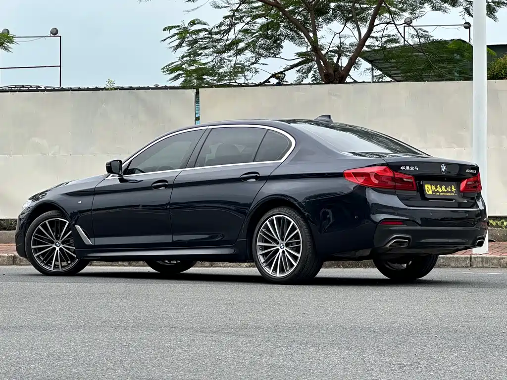BMW 5 Series 530Li Premium Type M Sport Package, фото 6