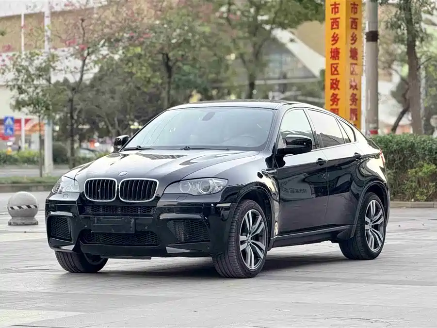 BMW X6 M 2011