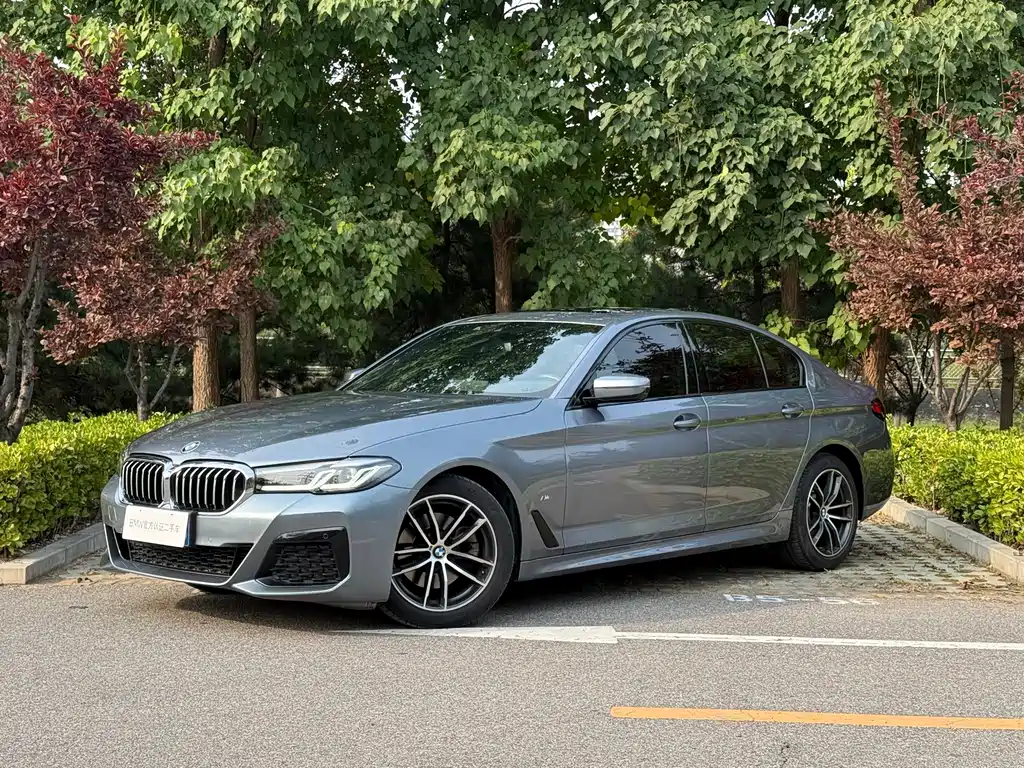 BMW 5 Series (Import)