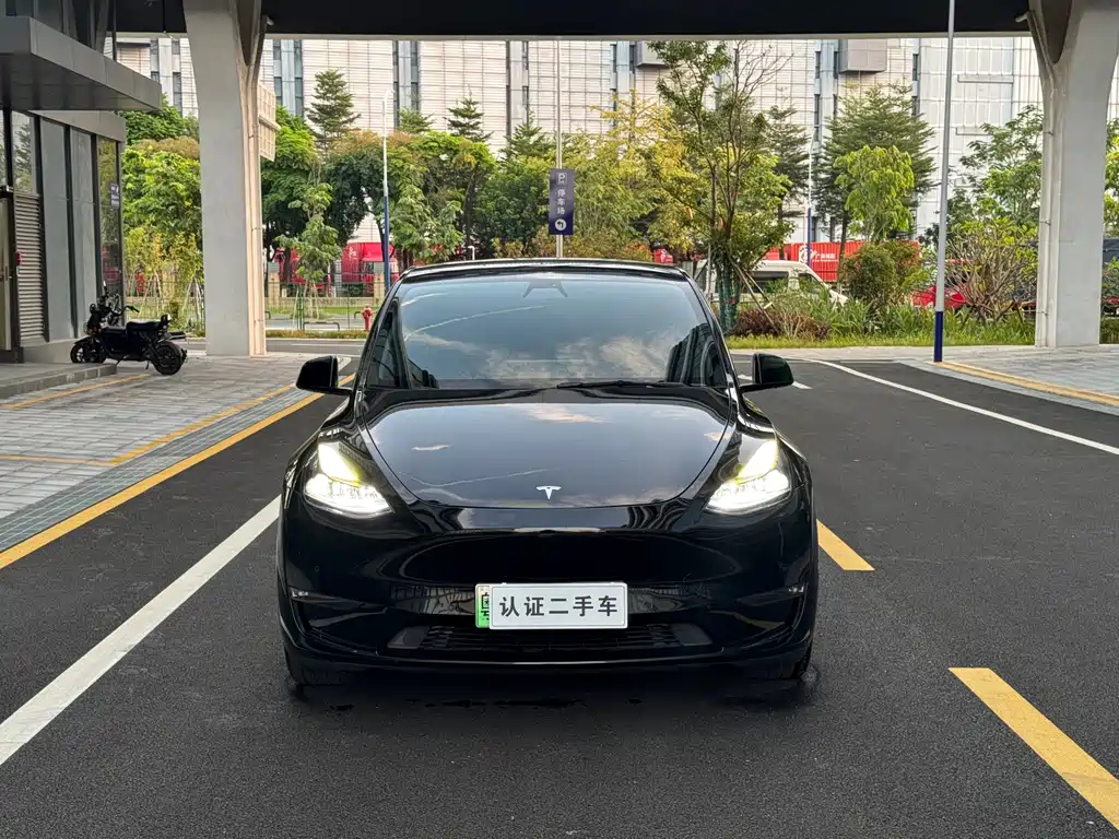 Tesla Model Y — миниатюра 2