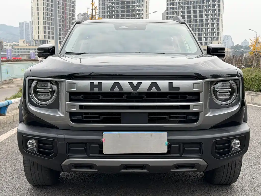 HAVAL BIG DOG