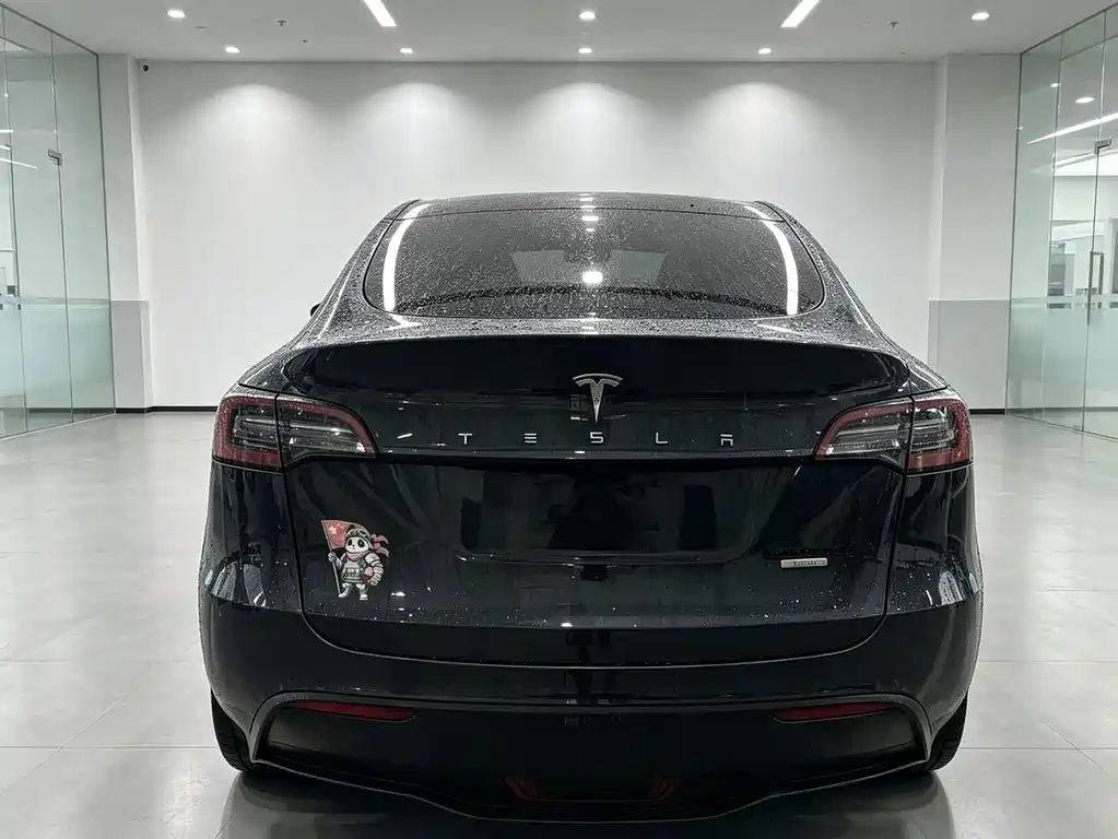 Tesla Model Y — миниатюра 5