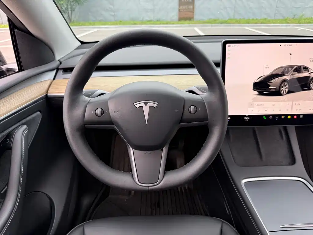 Tesla Model Y — миниатюра 10