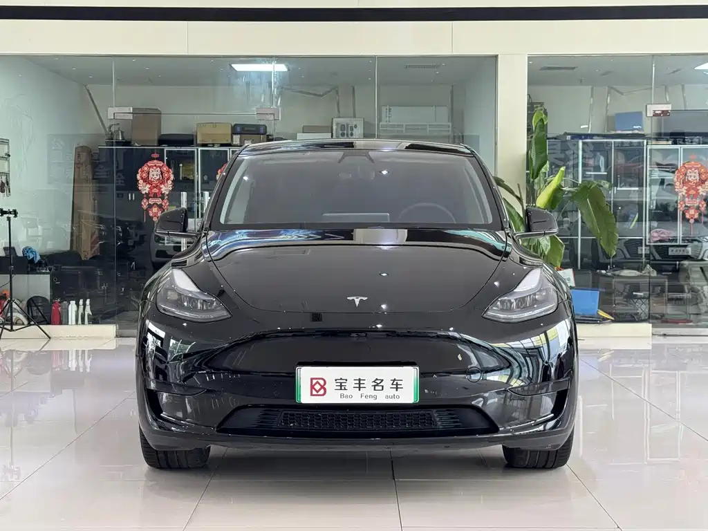 Tesla Model Y — миниатюра 2