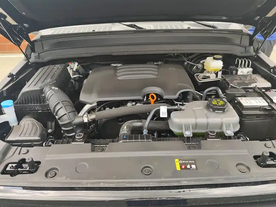 Tank 300 2025 2.0T