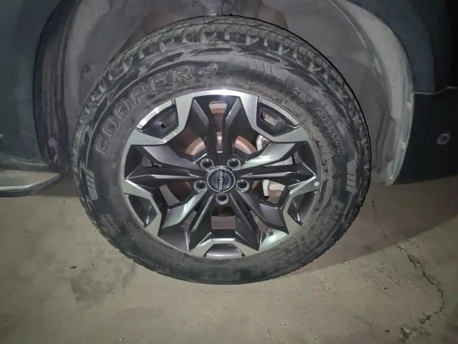 Haval Big Dog — миниатюра 6