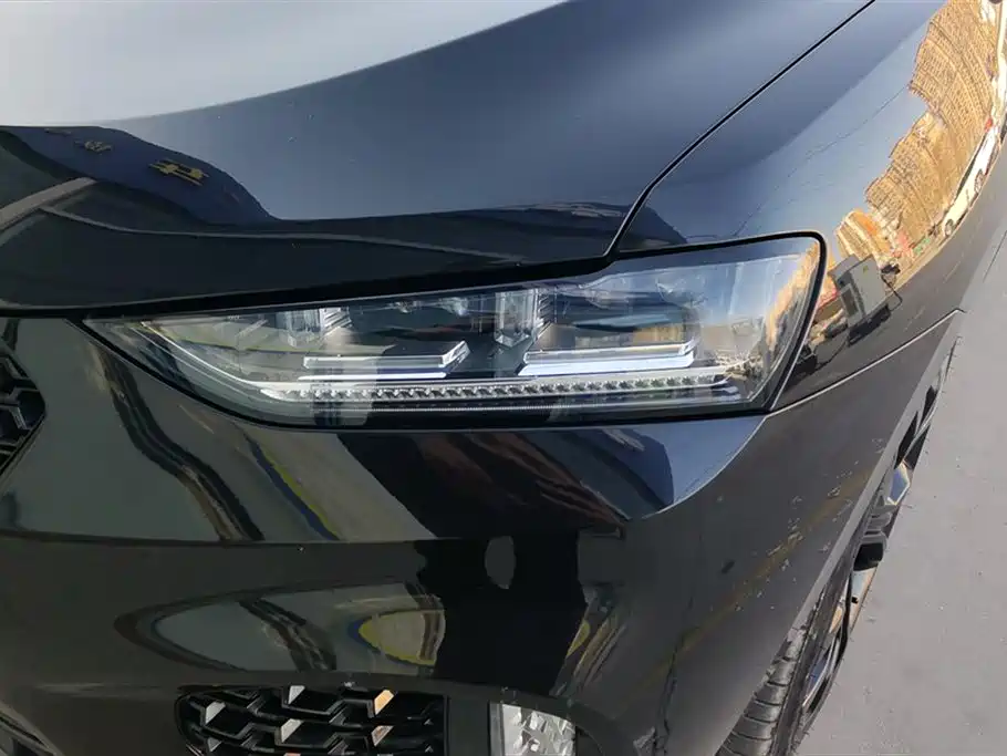 WEI PAI WEI BRAND VV7