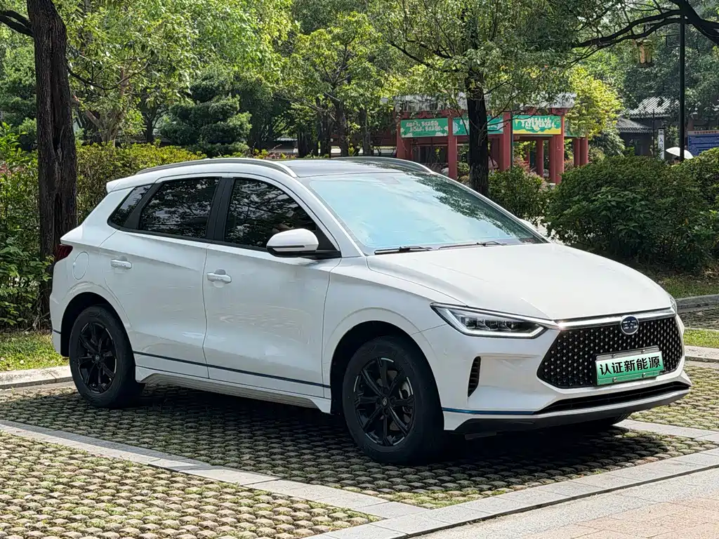 BYD e2 — миниатюра 3