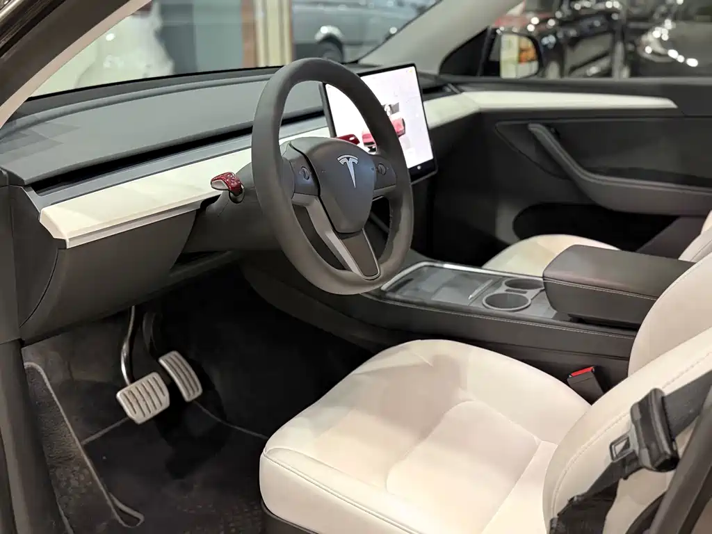 Tesla Model Y — миниатюра 4