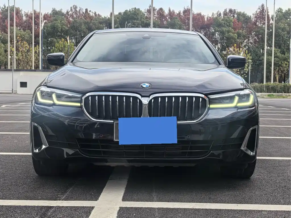 BMW 5 Series — миниатюра 2
