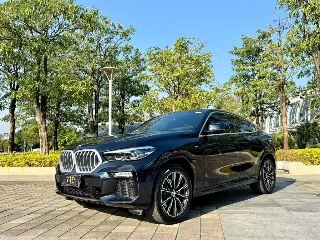 BMW X6 2021