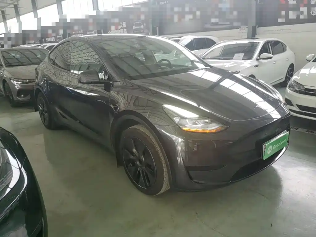 Tesla Model Y — миниатюра 4